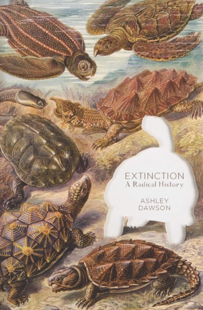 Ashley Dawson - Extinction, E-bok