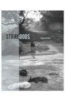 Carolyn Supinka - Stray Gods, Häftad. Tillgänglighet: Lägg i varukorg