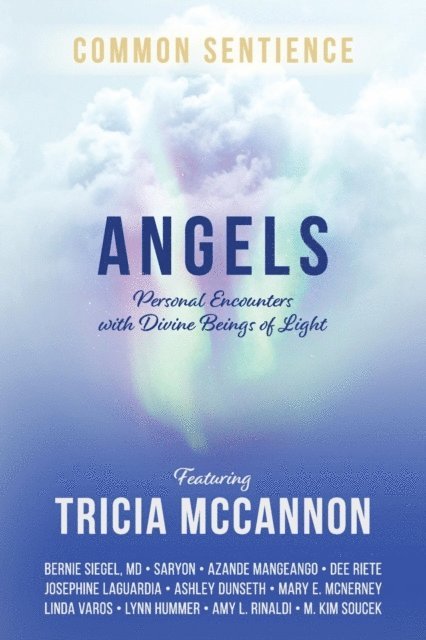Tricia McCannon - Angels, E-bok