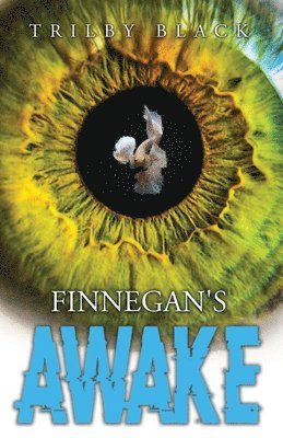 Trilby Black - Finnegan's Awake, Häftad