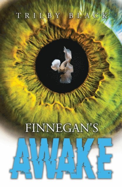 Trilby Black - Finnegan's Awake, E-bok