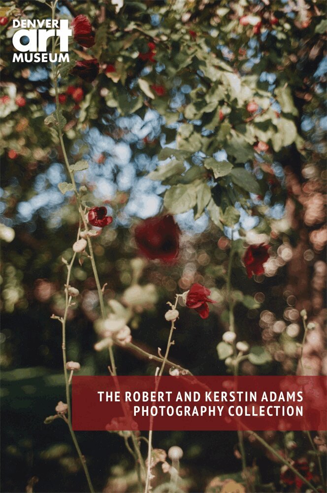 Eric Paddock - Companion to the Robert and Kerstin Adams Photography Collection at the Denver Art Museum, Häftad