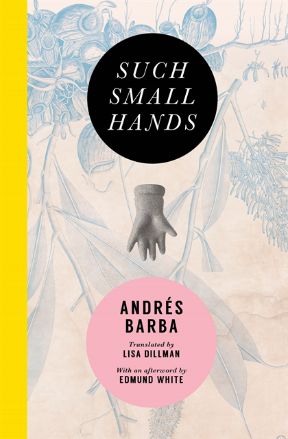 Andrés Barba - Such Small Hands, E-bok