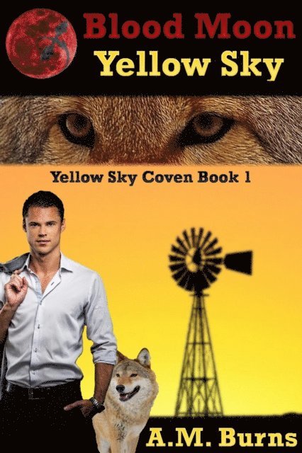 A.M. Burns - Blood Moon Yellow Sky, E-bok