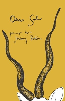 Jeremy Radin - Dear Sal, Häftad. Tillgänglighet: Tillfälligt slut