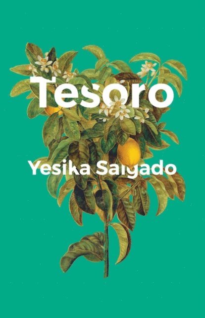Yesika Salgado - Tesoro, E-bok
