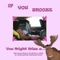 If You Snooze: You Might Miss a Moose