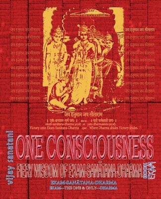 Vijay Sanatani - One Consciousness, Häftad