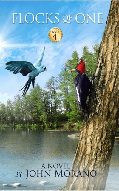 John Morano - Flocks of One, E-bok
