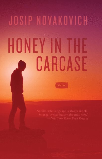 Josip Novakovich - Honey in the Carcase, E-bok