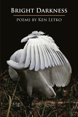Ken Letko - Bright Darkness, Häftad
