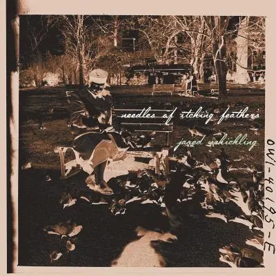 Jared Schickling - Needles of Itching Feathers, Häftad. Tillgänglighet: Lägg i varukorg
