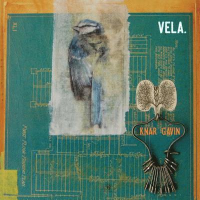 Knar Gavin - Vela., Häftad