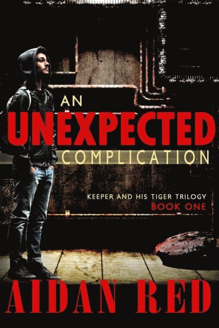 Aidan Red - Unexpected Complication, E-bok