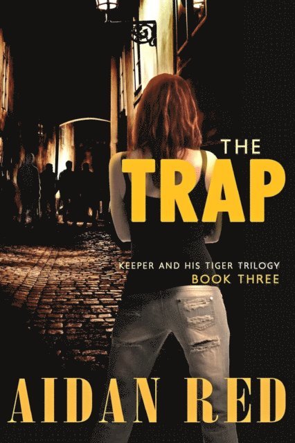 Aidan Red - Trap, E-bok