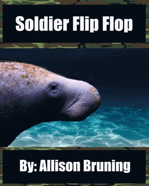 Allison Bruning - Soldier Flip Flop, E-bok