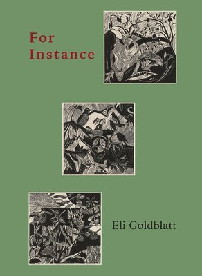 Eli Goldblatt, Michael Moore, Wendy Osterweil - For Instance, Häftad
