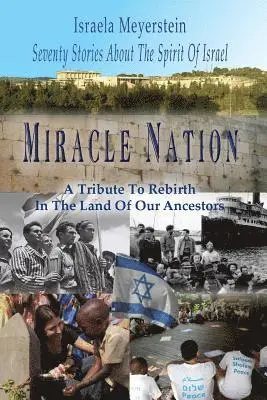 Israela Meyerstein - Miracle Nation, Häftad. Tillgänglighet: Lägg i varukorg