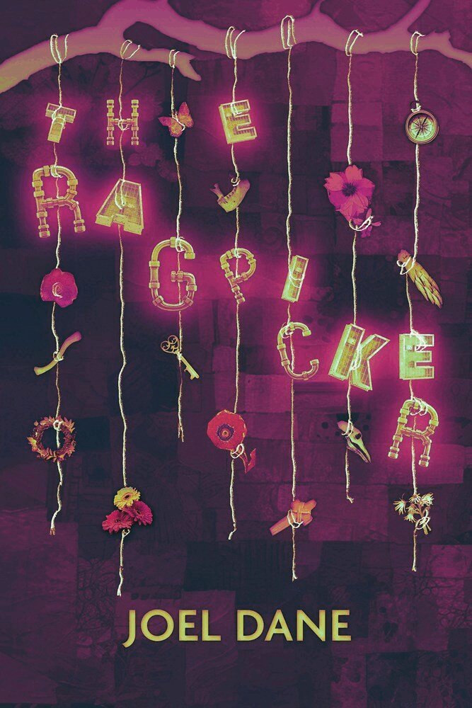 Joel Dane - Ragpicker, Häftad