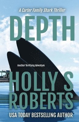 Holly S Roberts - Depth, Häftad