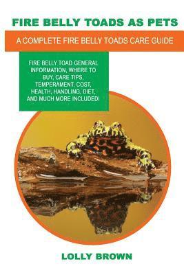 Fire Belly Toads as Pets: Fire Belly Toad general information, where to buy, care tips, temperament, cost, health, handling, diet, and much more av