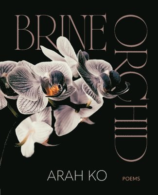 Arah Ko - Brine Orchid, Häftad
