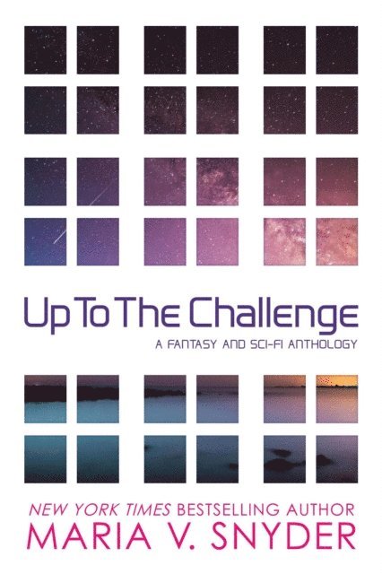 Maria V. Snyder - Up to the Challenge, E-bok
