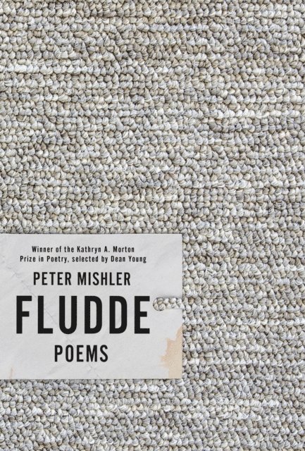 Peter Mishler - Fludde, E-bok