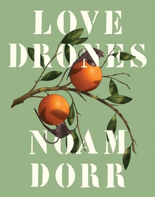 Noam Dorr - Love Drones, Häftad