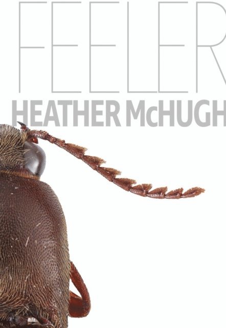 Heather McHugh - Feeler, E-bok
