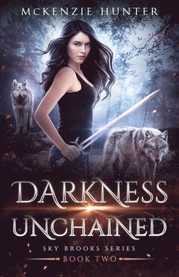 Mckenzie Hunter - Darkness Unchained, Häftad