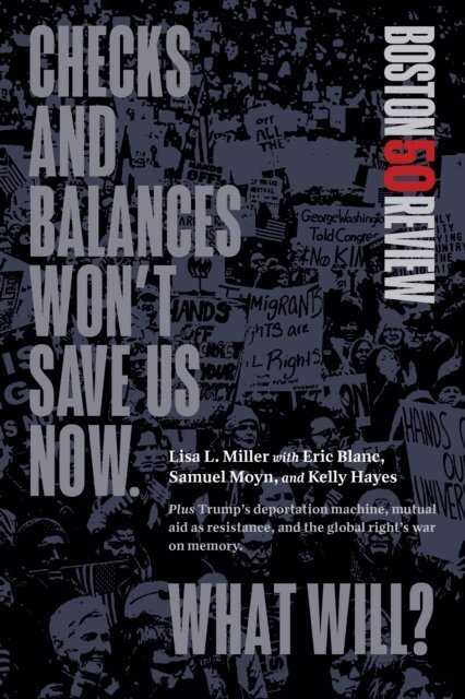 Lisa L. Miller - Checks and Balances Won't Save Us Now. What Will?, E-bok