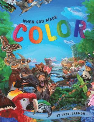 Sheri Carmon - When God Made Color, Häftad