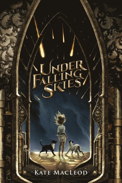 Kate MacLeod - Under Falling Skies, E-bok