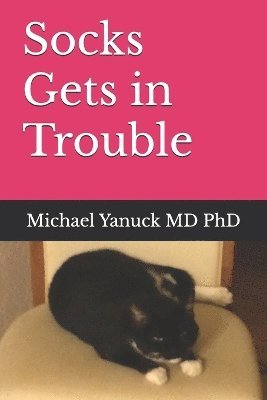 Michael Yanuck - Socks Gets in Trouble, Häftad