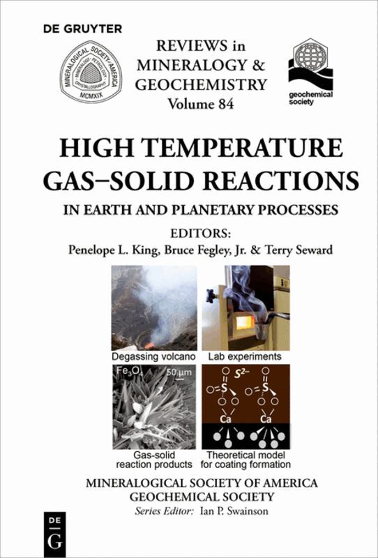 Penelope King, Bruce Fegley, Terry Seward - High Temperature Gas-Solid Reactions in Earth and Planetary Processes, Häftad. Tillgänglighet: Lägg i varukorg