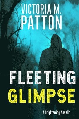 Victoria M Patton - Fleeting Glimpse, Häftad