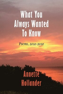 Annette Hollander - What You Always Wanted To Know, Häftad. Tillgänglighet: Lägg i varukorg