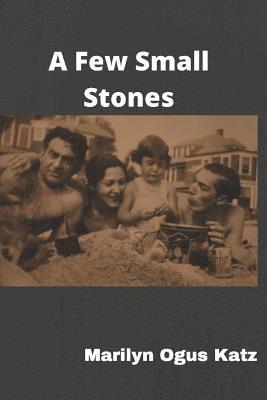 Marilyn Ogus Katz - Few Small Stones, Häftad