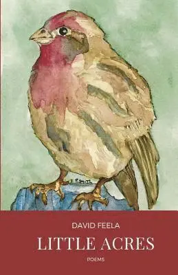 David Feela - Little Acres, Häftad. Tillgänglighet: Lägg i varukorg