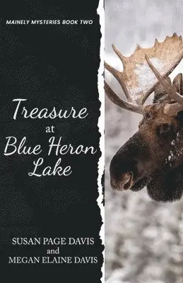 Megan Elaine Davis, Susan Page Davis - Treasure at Blue Heron Lake, Häftad. Tillgänglighet: Lägg i varukorg