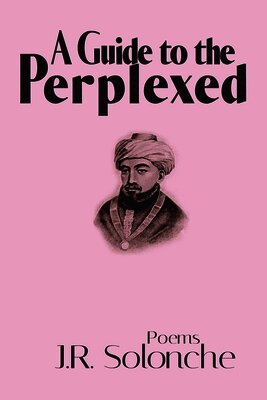 J R Solonche - Guide of the Perplexed, Häftad