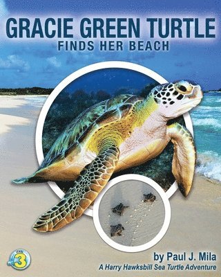 Paul J Mila - Gracie Green Turtle Finds Her Beach, Häftad