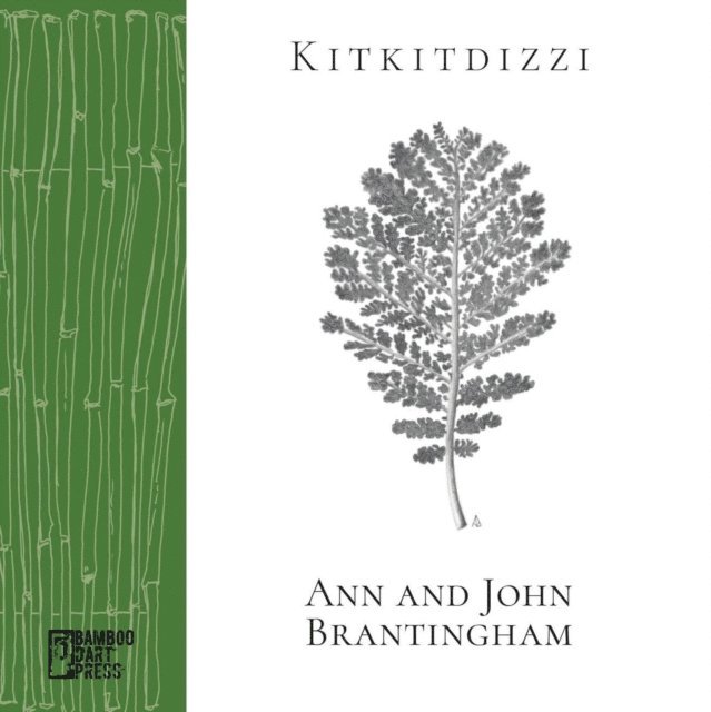Ann Brantingham, John Brantingham - Kitkitdizzi, E-bok