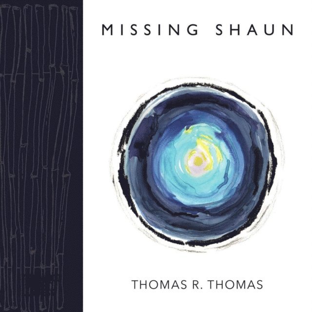 Thomas R. Thomas - Missing Shaun, E-bok