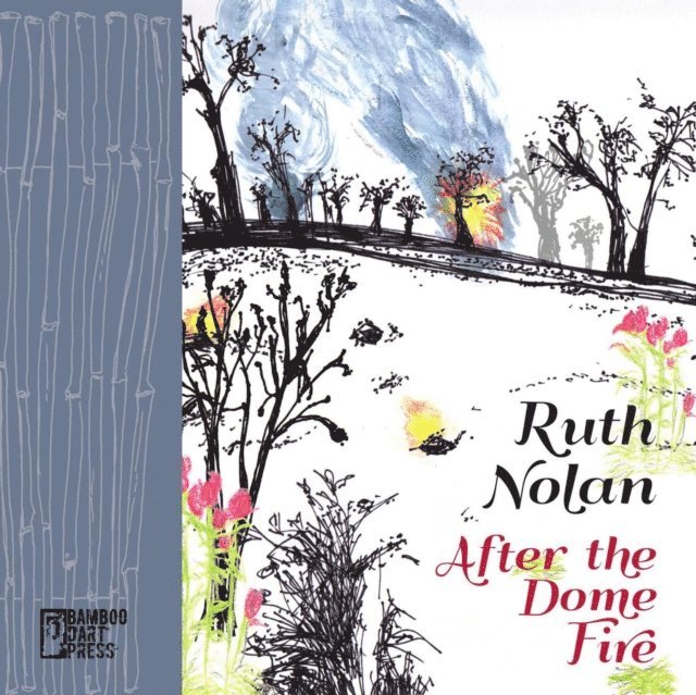 Ruth Nolan - After the Dome Fire, E-bok