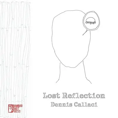 Dennis Callaci - Lost Reflection, Häftad. Tillgänglighet: Lägg i varukorg
