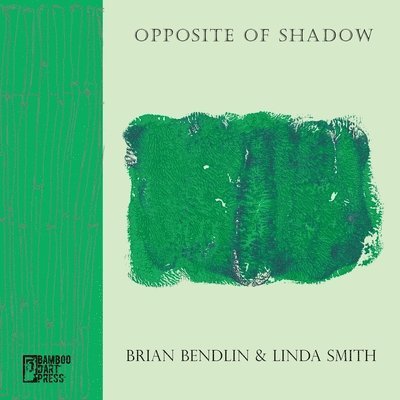 Brian Bendlin - Opposite of Shadow, Häftad
