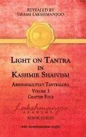 Viresh Hughes - Light on Tantra in Kashmir Shaivism - Volume 3, Inbunden