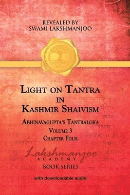 Viresh Hughes - Light on Tantra in Kashmir Shaivism - Volume 3, Häftad